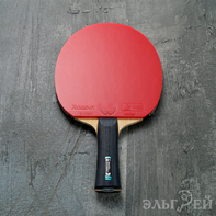 Ракетка BUTTERFLY Ovtcharov S1 Rozena