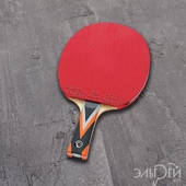 Ракетка XIOM OMNI 6.0